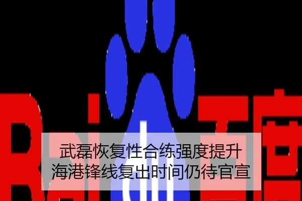 武磊恢复性合练强度提升 海港锋线复出时间仍待官宣