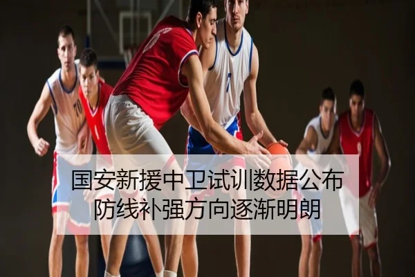 国安新援中卫试训数据公布 防线补强方向逐渐明朗
